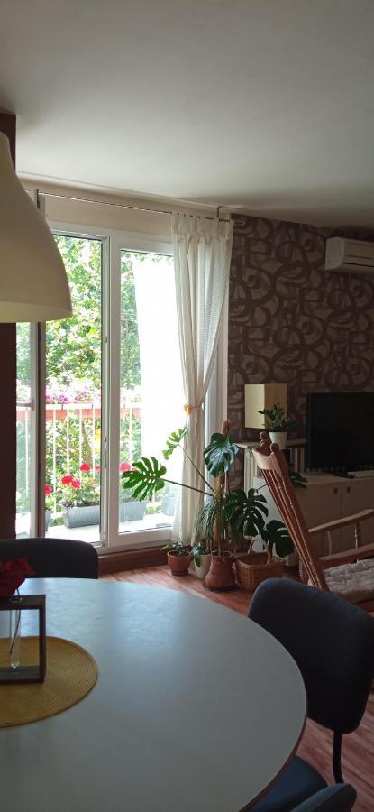 Branysol Apartman ノヴィ・サド エクステリア 写真