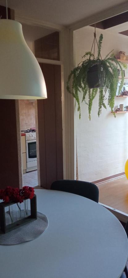 Branysol Apartman ノヴィ・サド エクステリア 写真