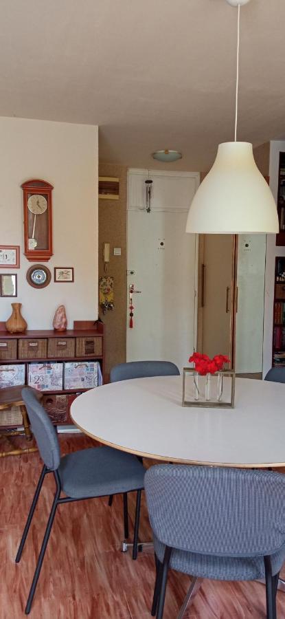 Branysol Apartman ノヴィ・サド エクステリア 写真