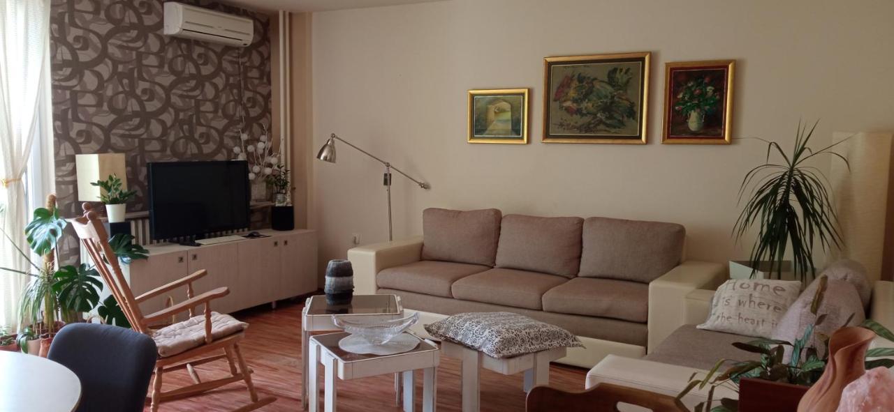 Branysol Apartman ノヴィ・サド エクステリア 写真