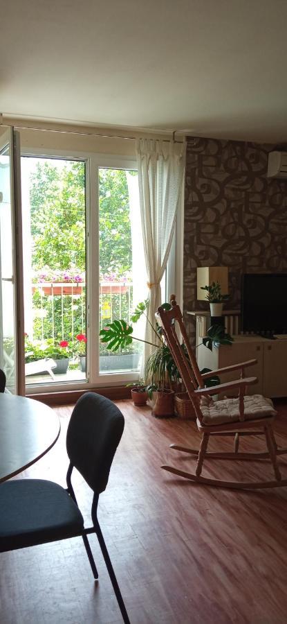 Branysol Apartman ノヴィ・サド エクステリア 写真
