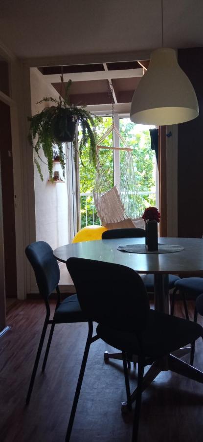 Branysol Apartman ノヴィ・サド エクステリア 写真